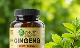 Ginseng Extract for sustained energy